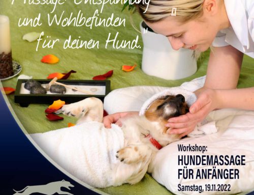 Workshop: Hundemassage für Anfänger (19.11.2022)