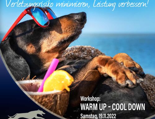 Workshop: Warm up – cool down (19.11.2022)