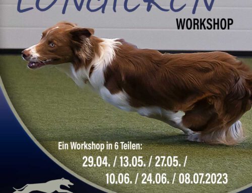 Workshop – Longieren mit Hund